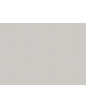 A100311 Обои ARTSIMPLE (Mixture) (1*6) 10,00x1,06 винил на флизелине-foto2