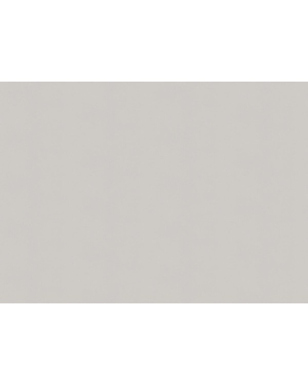 A100311 Обои ARTSIMPLE (Mixture) (1*6) 10,00x1,06 винил на флизелине