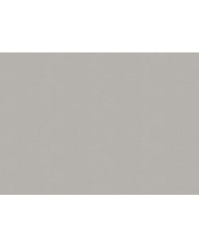 A100312 Обои ARTSIMPLE (Mixture) (1*6) 10,00x1,06 винил на флизелине-foto2