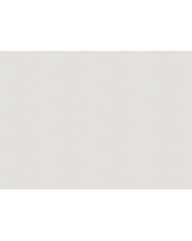 A100314 Обои ARTSIMPLE (Mixture) (1*6) 10,00x1,06 винил на флизелине-foto2