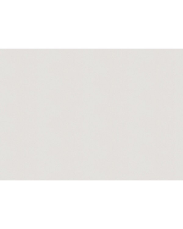 A100314 Обои ARTSIMPLE (Mixture) (1*6) 10,00x1,06 винил на флизелине