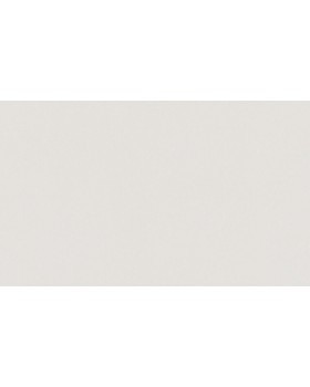 A100314 Обои ARTSIMPLE (Mixture) (1*6) 10,00x1,06 винил на флизелине