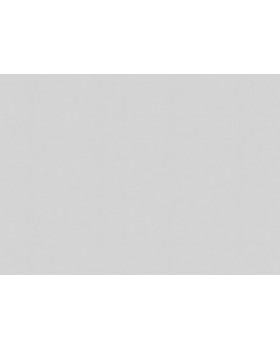 A100315 Обои ARTSIMPLE (Mixture) (1*6) 10,00x1,06 винил на флизелине-foto2