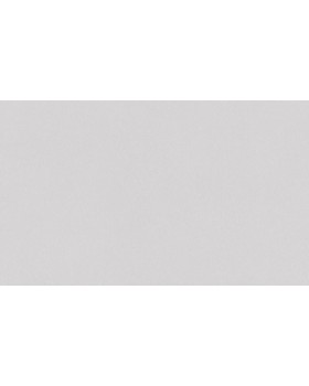 A100315 Обои ARTSIMPLE (Mixture) (1*6) 10,00x1,06 винил на флизелине