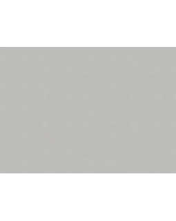 A101309 Обои ARTSIMPLE (Mixture Textile) (1*6) 10,00x1,06 винил на флизелине-foto2