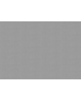 A101313 Обои ARTSIMPLE (Mixture Textile) (1*6) 10,00x1,06 винил на флизелине-foto2