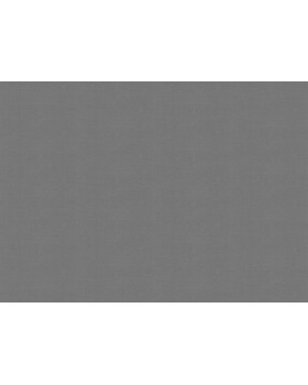 A101314 Обои ARTSIMPLE (Mixture Textile) (1*6) 10,00x1,06 винил на флизелине-foto2