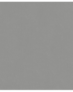 91149 Обои Marburg (Style) (1*9) 10,05x1,06 винил на флизелине