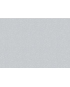 91155 Обои Marburg (Style) (1*9) 10,05x1,06 винил на флизелине-foto2