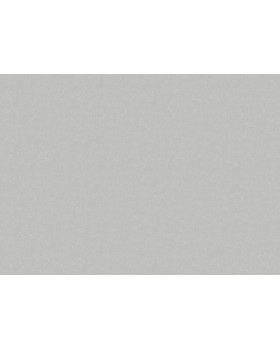 91157 Обои Marburg (Style) (1*9) 10,05x1,06 винил на флизелине-foto2