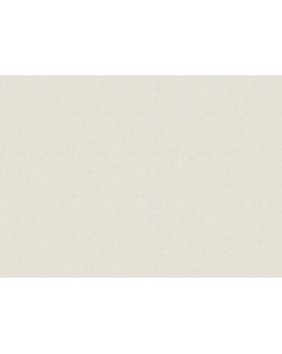 91159 Обои Marburg (Casa Vita/Selection/Style) (1*6) 10,05x1,06 винил на флизелине-foto2