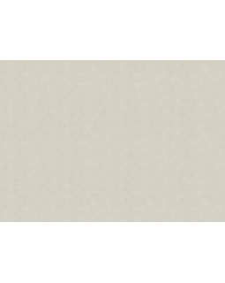 91161 Обои Marburg (Selection/Style) (1*6) 10,05x1,06 винил на флизелине-foto2