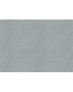 R 28020 Обои Fipar (Grand Classic) (1*4) 10,05х1,06 винил на флизелине-foto2