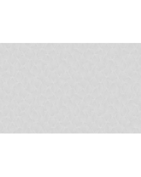 ARTS19 001/2 Обои Artsimple (Geometry) (1*6) 10,05x1,00 флизелин