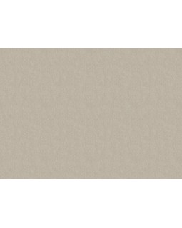 35041 Обои Marburg (Selection/City Charm) (1*6) 10,05x1,06 винил на флизелине-foto2