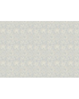 R158132 Обои Grandeco (Gloria) (1*6) 10,05х1,06  винил на флизелине-foto2