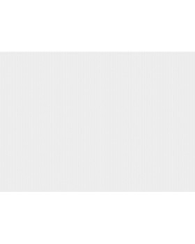 R158001 Обои Grandeco (Gloria) (1*6) 10,05х1,06 винил на флизелине-foto2