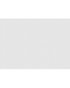 R158013 Обои Grandeco (Gloria) (1*6) 10,05х1,06  винил на флизелине-foto2