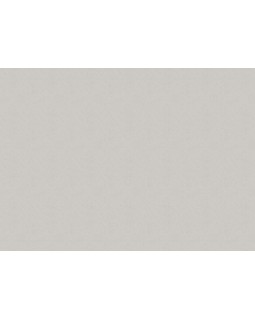 35423 Обои Marburg (Aura/Ritus) (1*6) 10,05x1,06 винил на флизелине-foto2