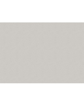 35423 Обои Marburg (Aura/Ritus) (1*6) 10,05x1,06 винил на флизелине-foto2