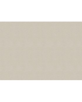 33515 Обои Marburg (Solid Contract - Newton) (1*4) 10,80x1,06 винил на флизелине-foto2