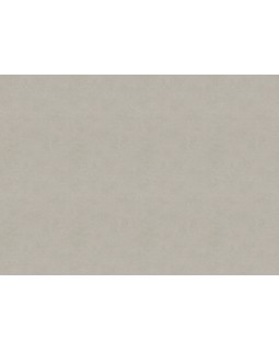 33503 Обои Marburg (Solid Contract - Newton) (1*4) 10,80x1,06 винил на флизелине
