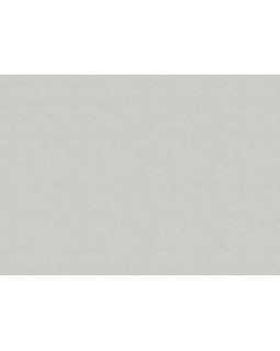 33506 Обои Marburg (Solid Contract - Newton) (1*4) 10,80x1,06 винил на флизелине-foto2