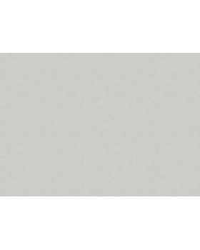 33506 Обои Marburg (Solid Contract - Newton) (1*4) 10,80x1,06 винил на флизелине-foto2