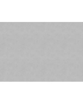 33507 Обои Marburg (Solid Contract - Newton) (1*4) 10,80x1,06 винил на флизелине-foto2