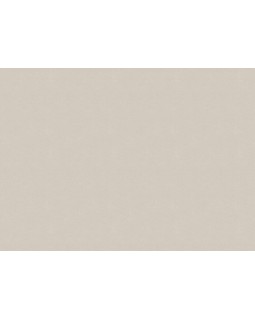 33517 Обои Marburg (Solid Contract - Newton) (1*4) 10,80x1,06 винил на флизелине-foto2