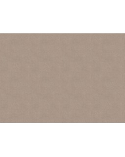 33519 Обои Marburg (Solid Contract - Newton) (1*4) 10,80x1,06 винил на флизелине-foto2