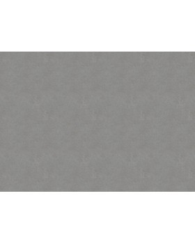 33509 Обои Marburg (Solid Contract - Newton) (1*4) 10,80x1,06 винил на флизелине-foto2