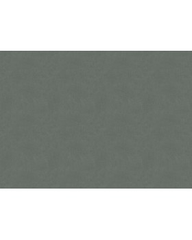 33511 Обои Marburg (Solid Contract - Newton) (1*4) 10,80x1,06 винил на флизелине-foto2