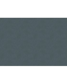 33512 Обои Marburg (Solid Contract - Newton) (1*4) 10,80x1,06 винил на флизелине-foto2