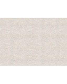 R 23937 Обои Fipar (Burlesque) (1*4) 10,05х1,06 винил на флизелине-foto2