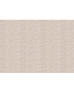 R 23940 Обои Fipar (Burlesque) (1*4) 10,05х1,06 винил на флизелине-foto2