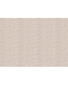 R 23940 Обои Fipar (Burlesque) (1*4) 10,05х1,06 винил на флизелине-foto2