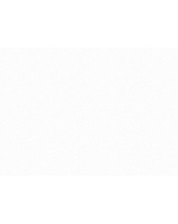 R166001 Обои Grandeco (Originale) (1*6) 10,05х1,06 винил на флизелине-foto2