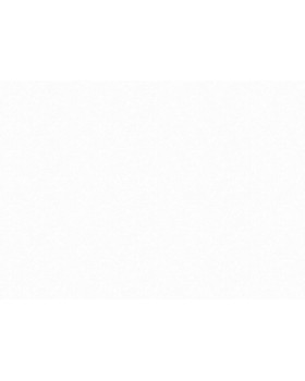 R166001 Обои Grandeco (Originale) (1*6) 10,05х1,06 винил на флизелине-foto2