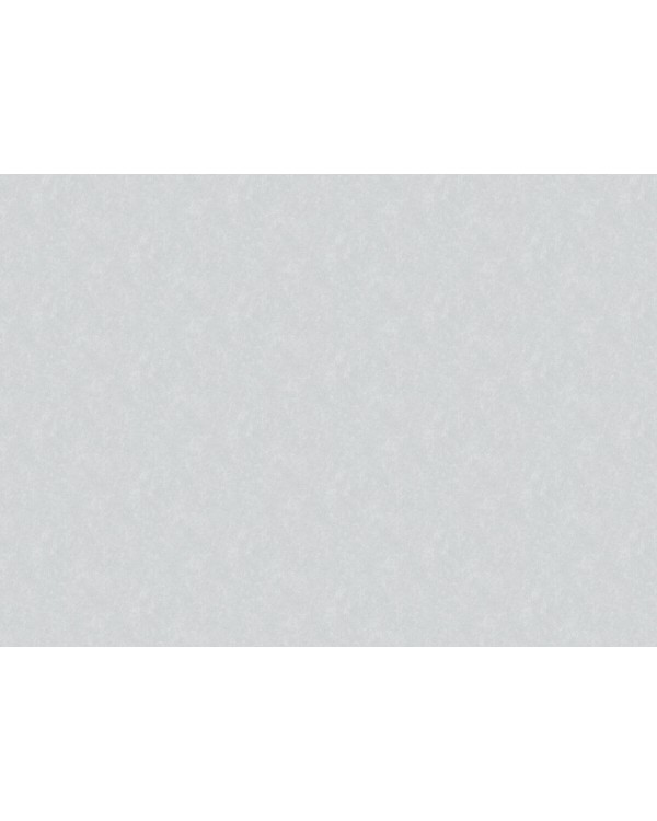 R166036 Обои Grandeco (Originale) (1*6) 10,05х1,06 винил на флизелине