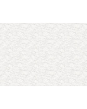 R165101 Обои Grandeco (Originale) (1*6) 10,05х1,06 винил на флизелине-foto2