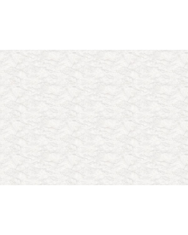 R165101 Обои Grandeco (Originale) (1*6) 10,05х1,06 винил на флизелине