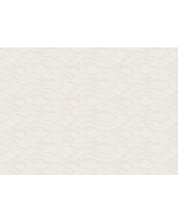 R165102 Обои Grandeco (Originale) (1*6) 10,05х1,06 винил на флизелине-foto2