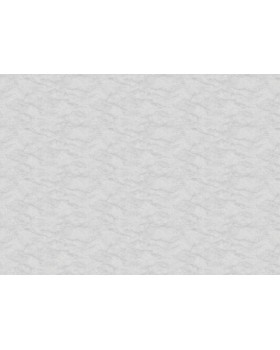 R165113 Обои Grandeco (Originale) (1*6) 10,05х1,06 винил на флизелине-foto2