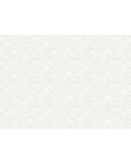 R165112 Обои Grandeco (Originale) (1*6) 10,05х1,06 винил на флизелине-foto2