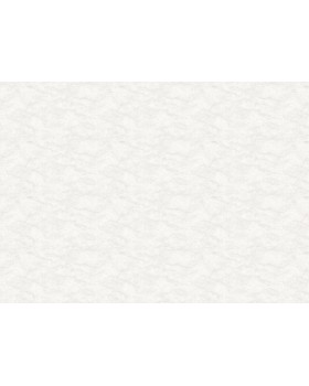 R165112 Обои Grandeco (Originale) (1*6) 10,05х1,06 винил на флизелине-foto2