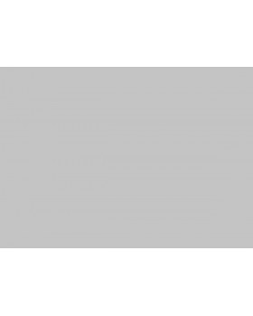 R168003 Обои Grandeco (Originale) (1*6) 10,05х1,06 винил на флизелине-foto2