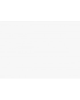 R168013 Обои Grandeco (Originale) (1*6) 10,05х1,06 винил на флизелине-foto2