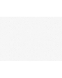 R161101 Обои Grandeco (Originale) (1*6) 10,05х1,06 винил на флизелине-foto2