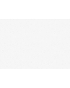 R161101 Обои Grandeco (Originale) (1*6) 10,05х1,06 винил на флизелине-foto2